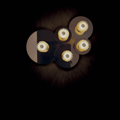 In the Sun Wall/ceiling light