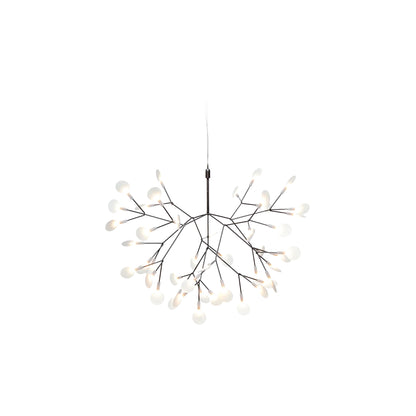 Heracleum III Hangandi Ljós
