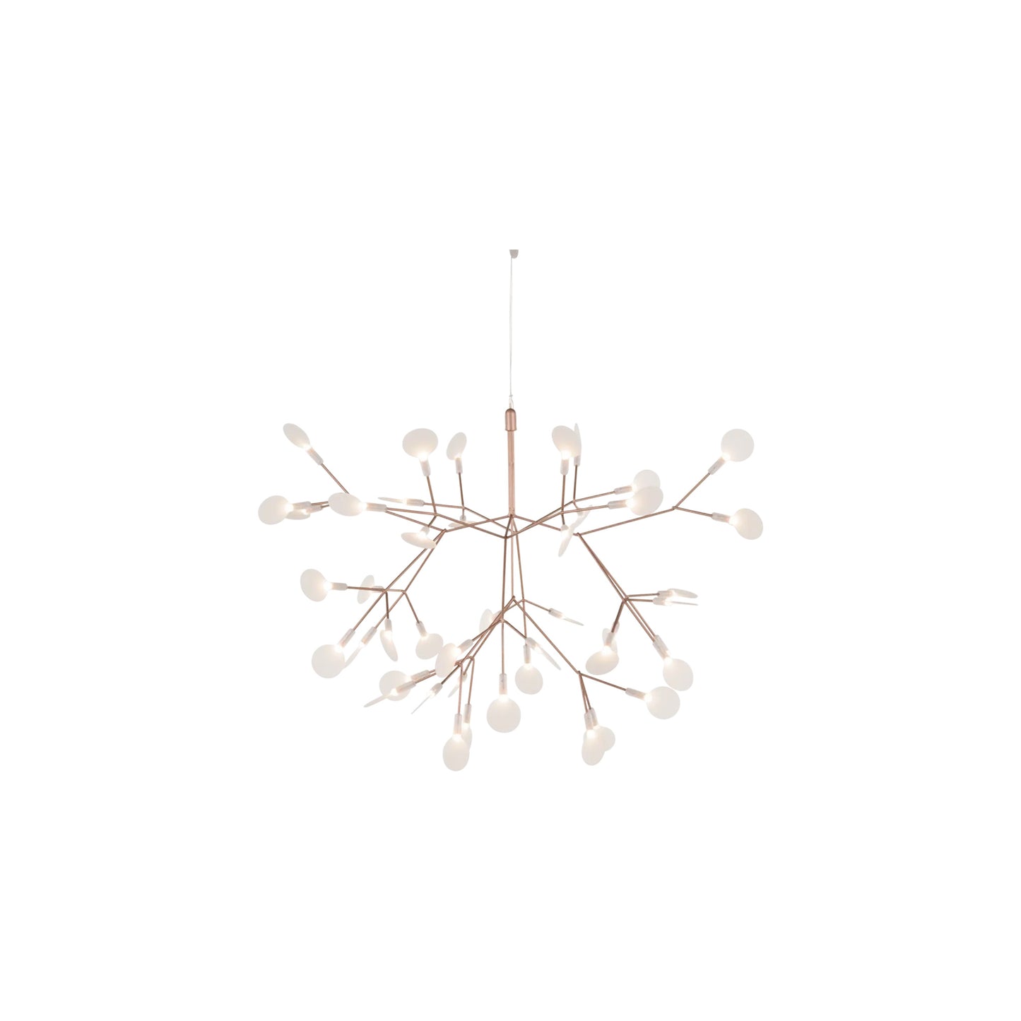 Heracleum III Hangandi Ljós