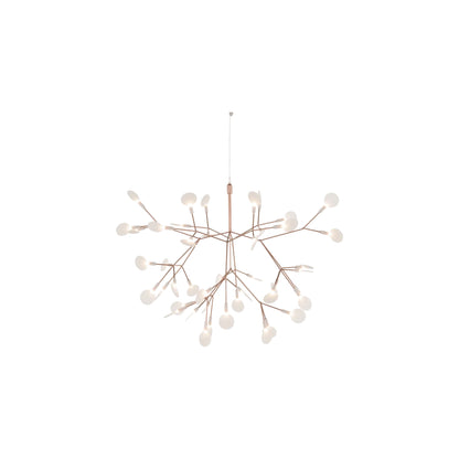 Heracleum III Hangandi Ljós