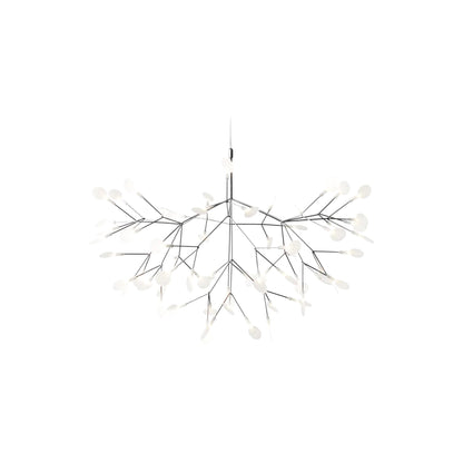 Heracleum III Hangandi Ljós