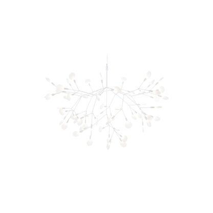 Heracleum III Hangandi Ljós