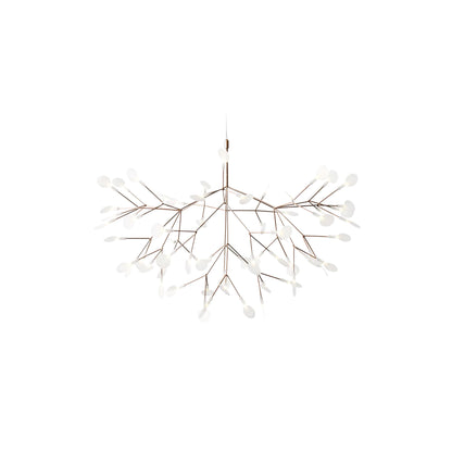 Heracleum III Hangandi Ljós